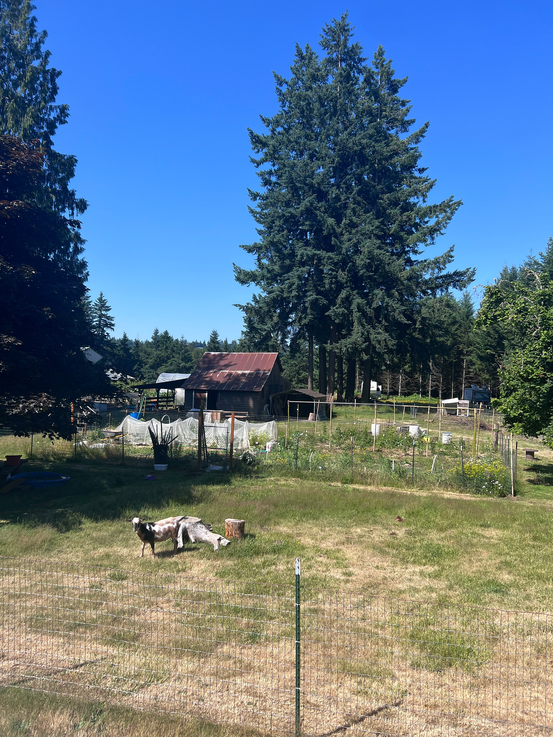 Homestead By Estacada Lake