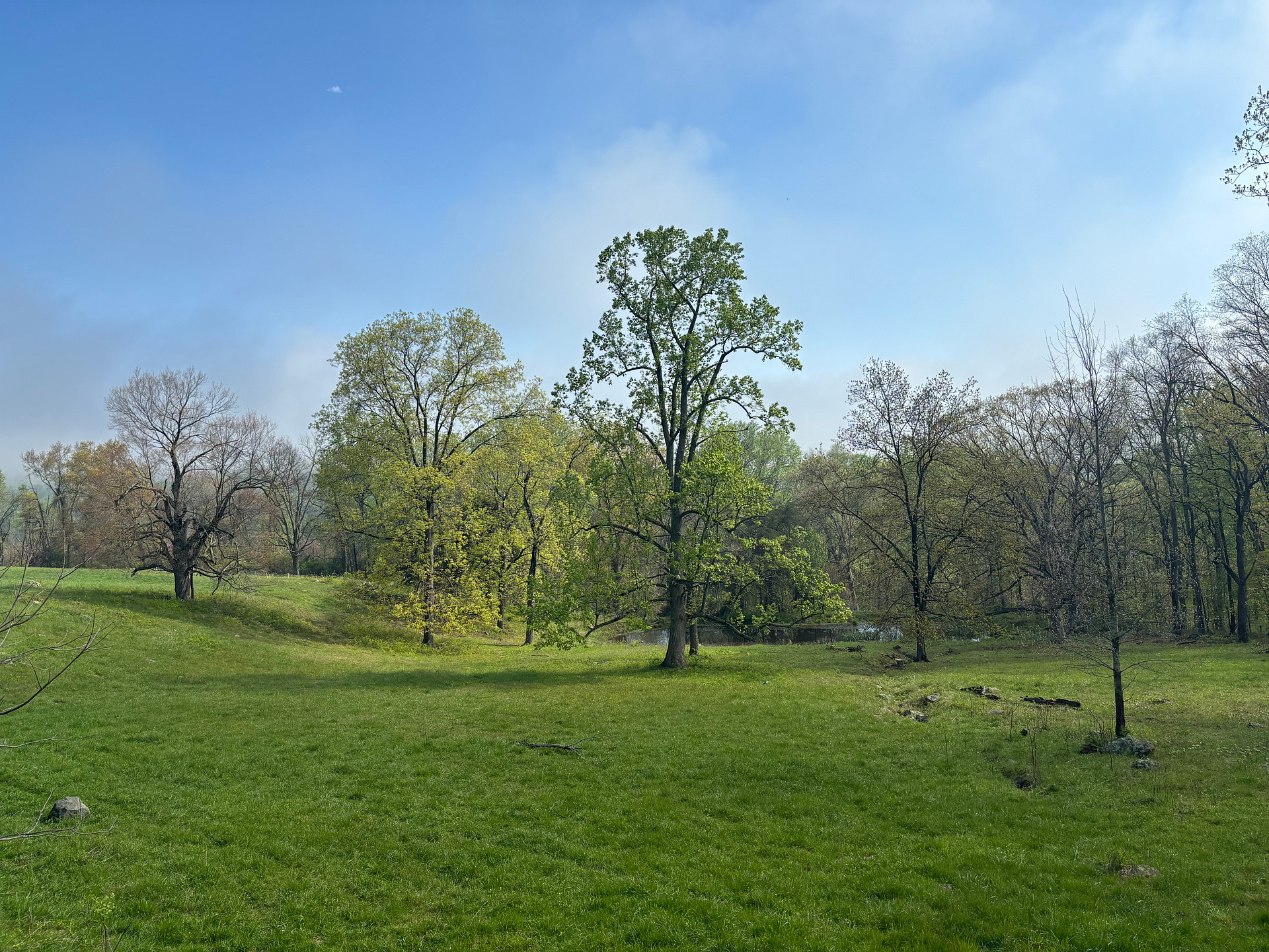 Beespoke Farms