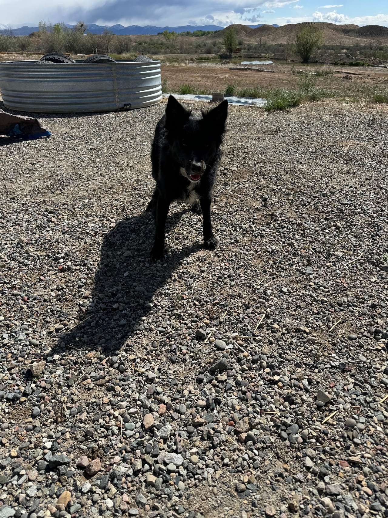 Bear Family Ranch, RV and Camping