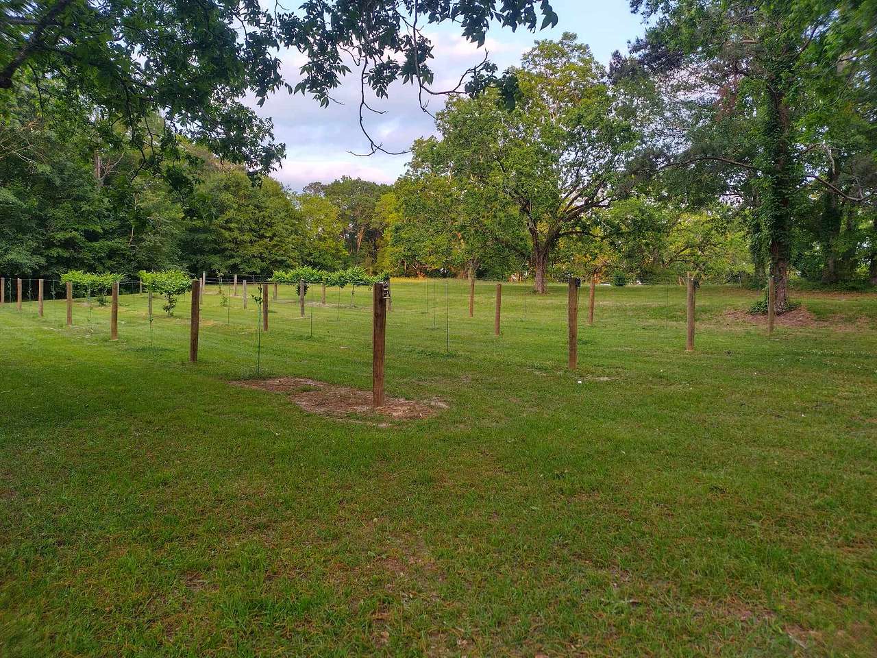 MK Vineyard and Farm..