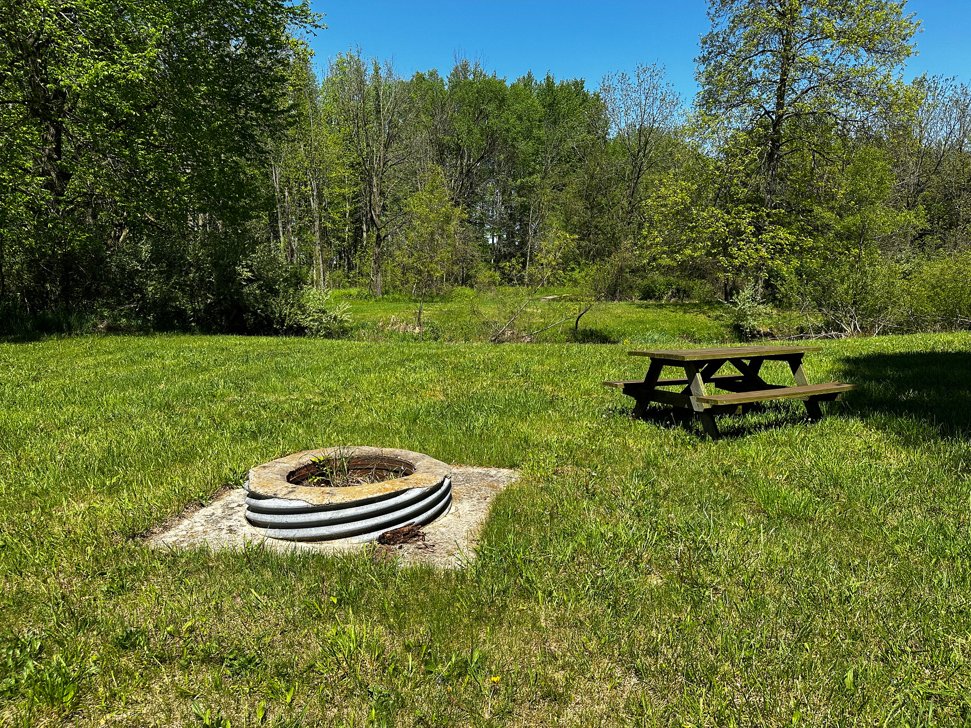 Boone Farm & Forest