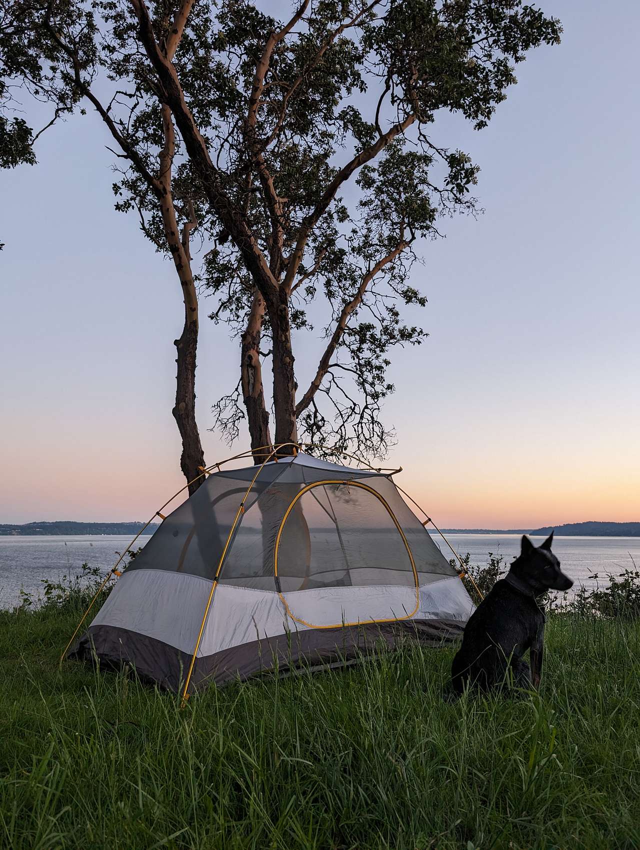 Two Bluff Campsites With Beach Access