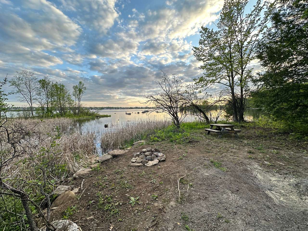 Spring (May) - The view by the fire pit looking southwest. 