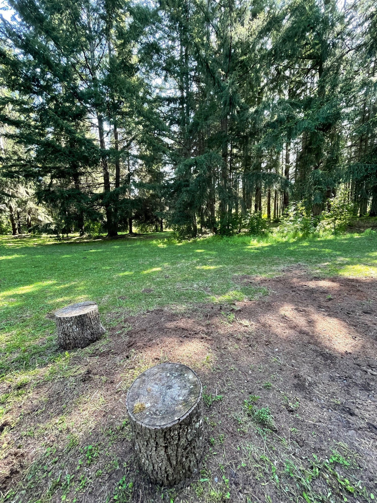 Country Refuge Close to City
