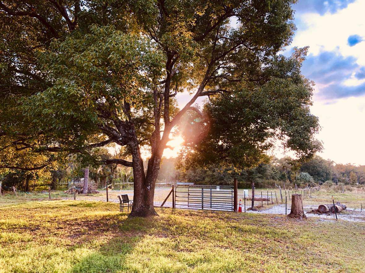 Lovely Acres Of East Orlando