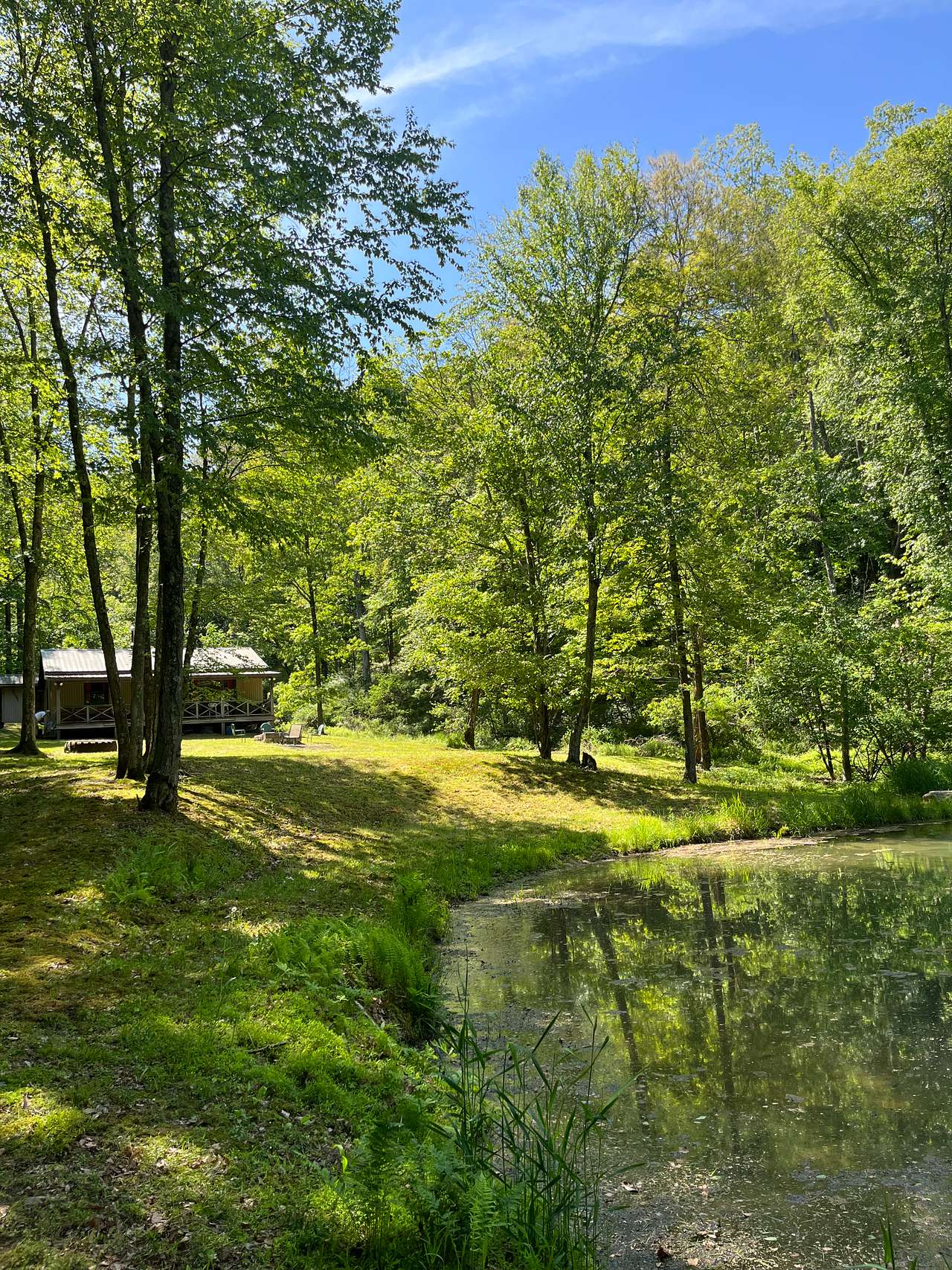 Secluded BLT Cabin
