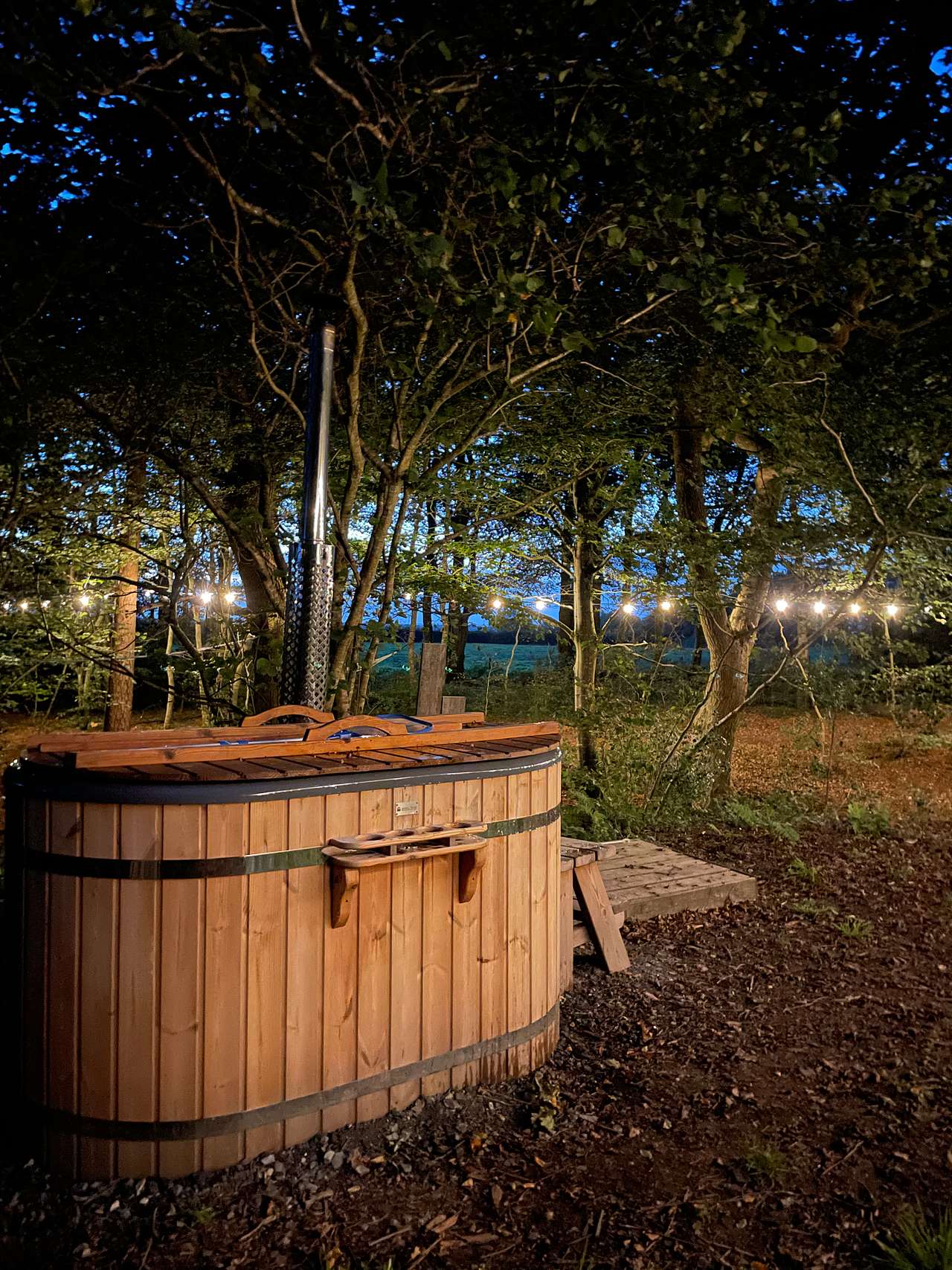 Private woodland in a shepherds hut