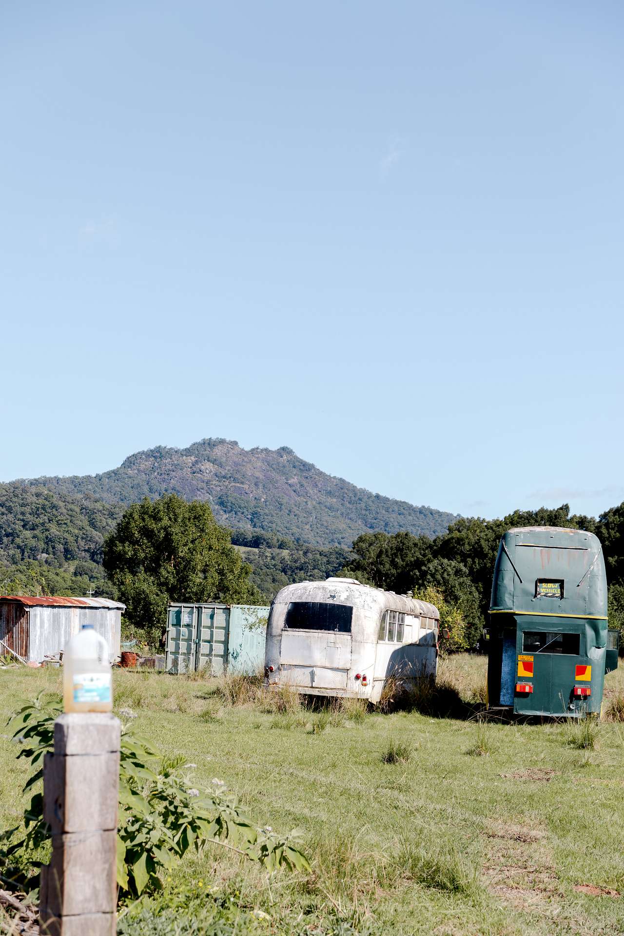 McKenzies Mountain, Wollumbin