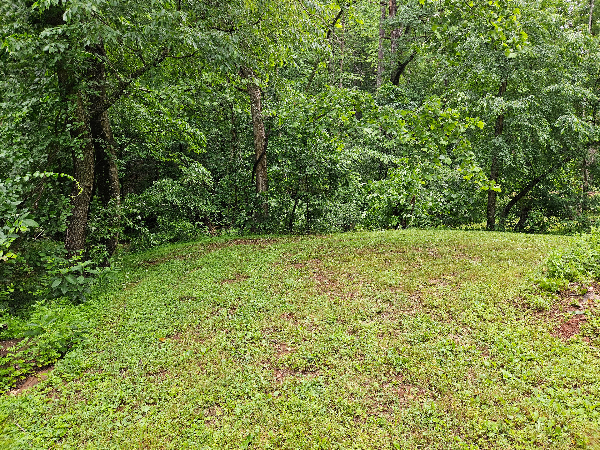 Ridgecrest Hollow