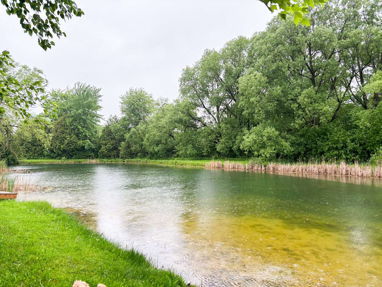 Take a short stroll down to the pond. Hear the bullfrogs, catch a glimpse of the sunfish or bass, and maybe a blue heron or our resident great horned owl.