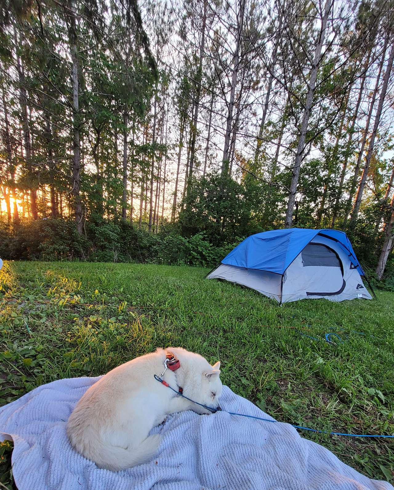 Peaceful Farm Camping Near Toronto