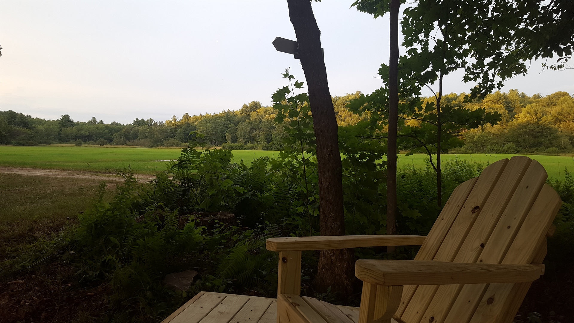 Maple Corner Farm