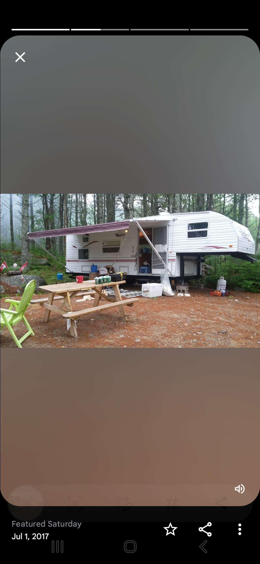 Peaceful ✌️Pines