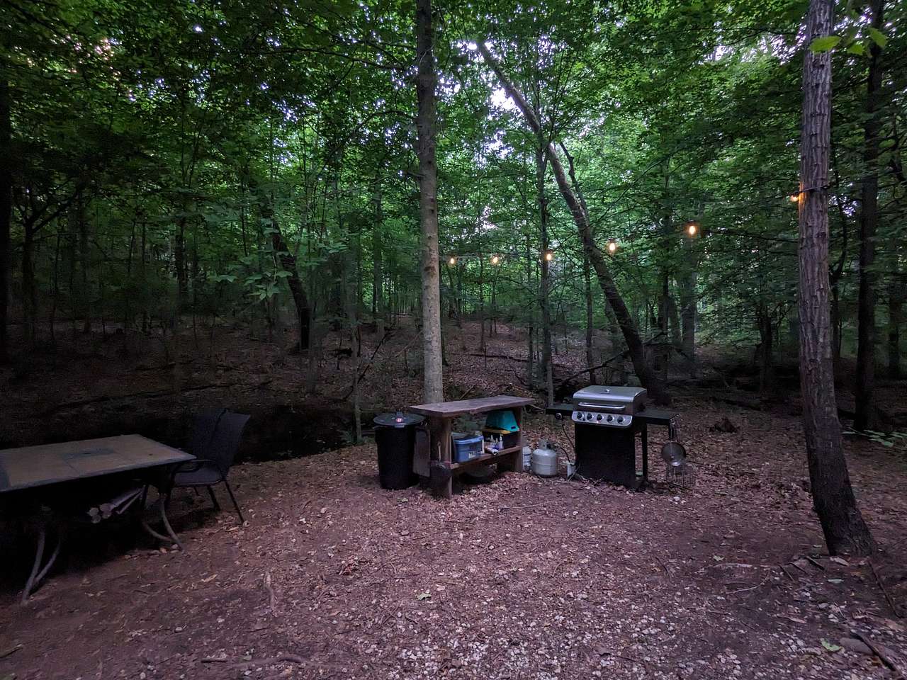 Dining table, grill with propane, and extra prep space