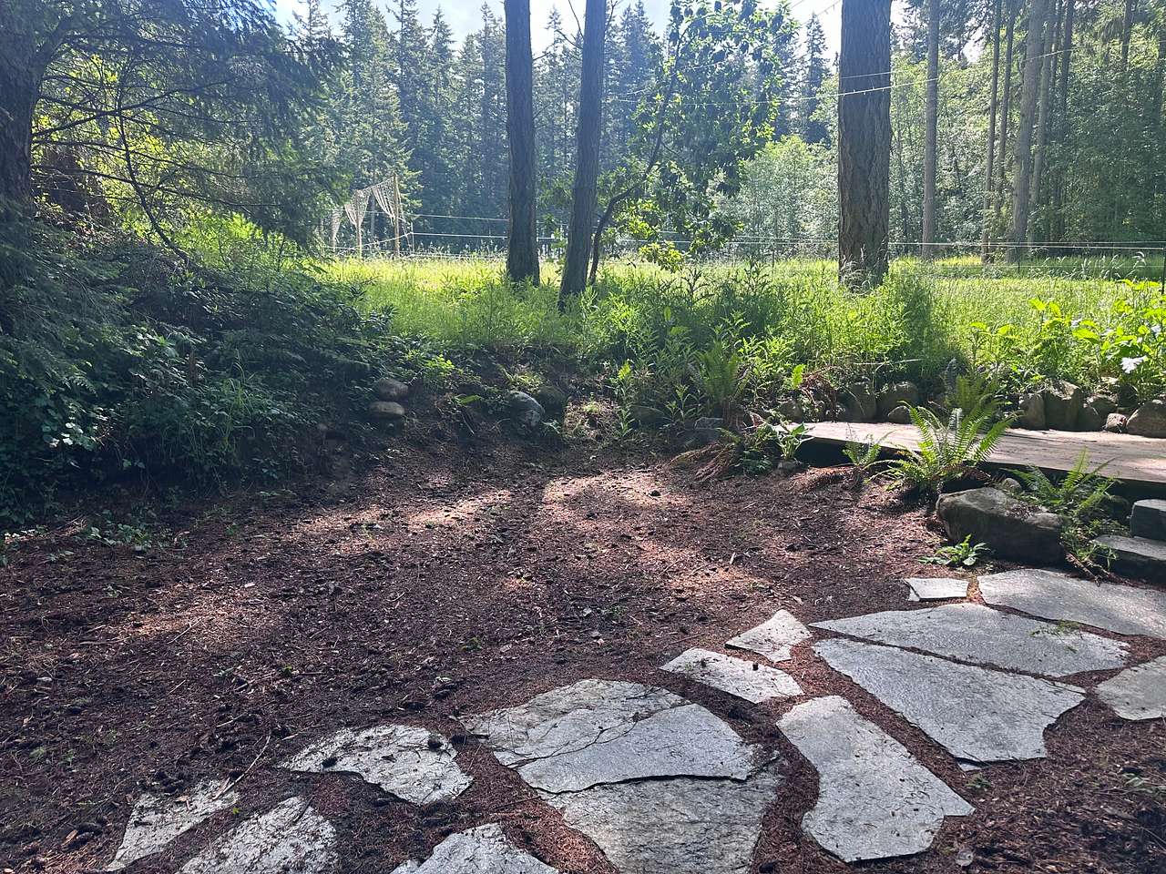 Wild Hearts on Whidbey