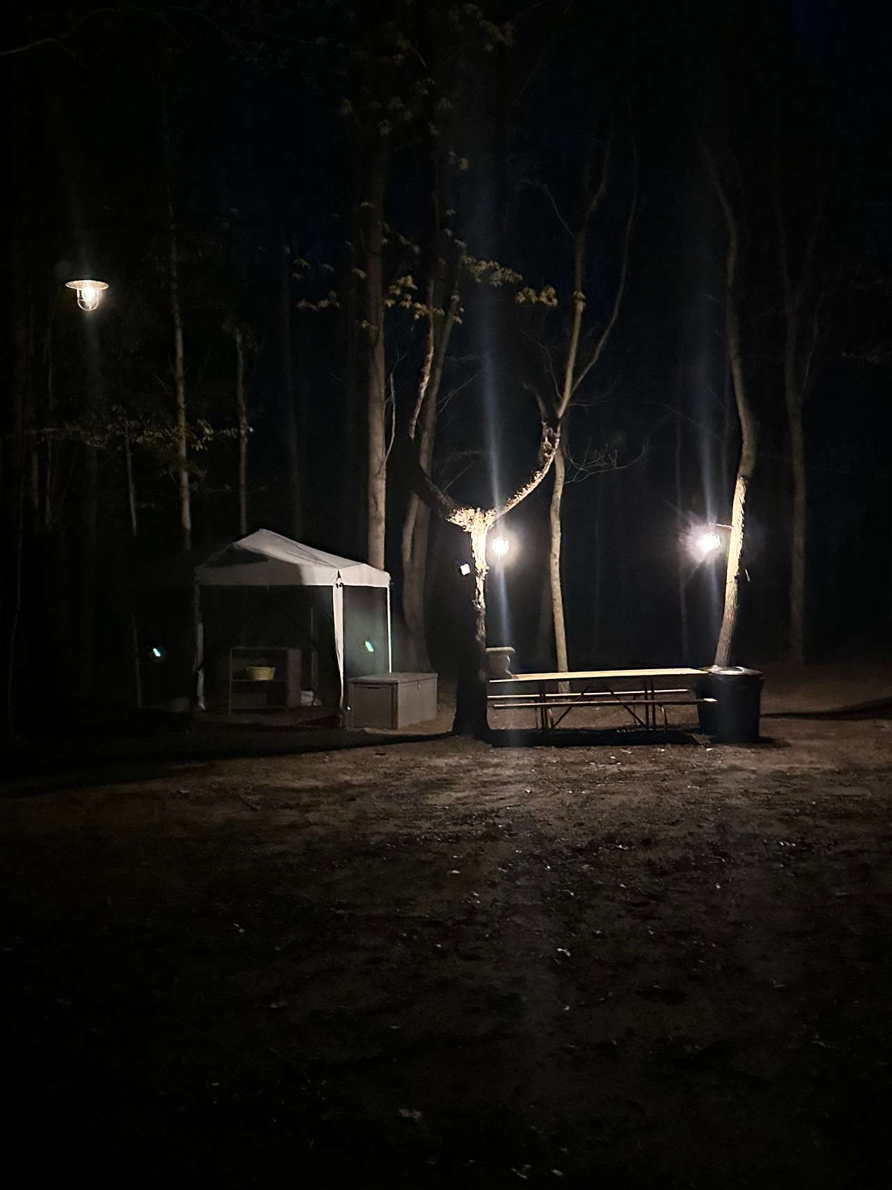 Sugar Shack Disc Golf Campground