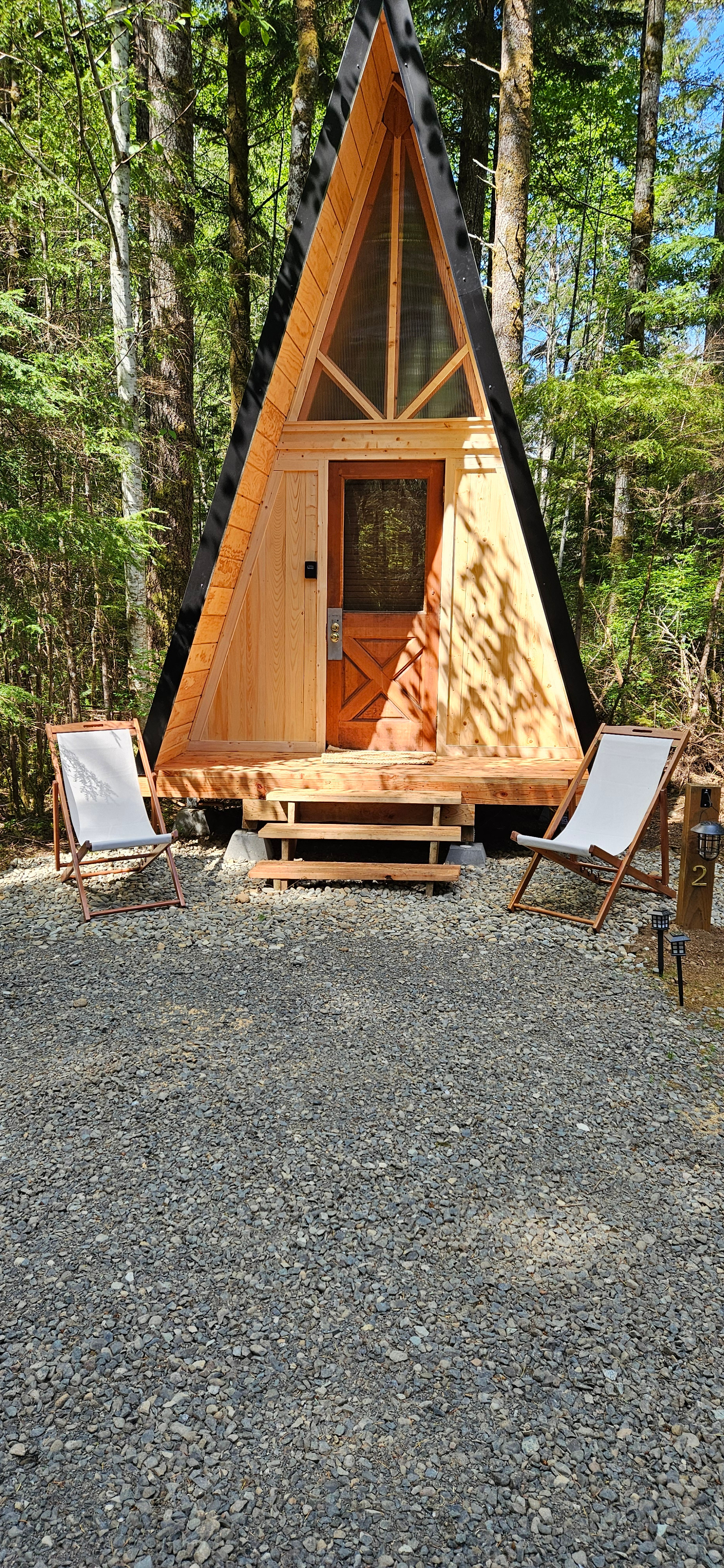 In The Pines #1