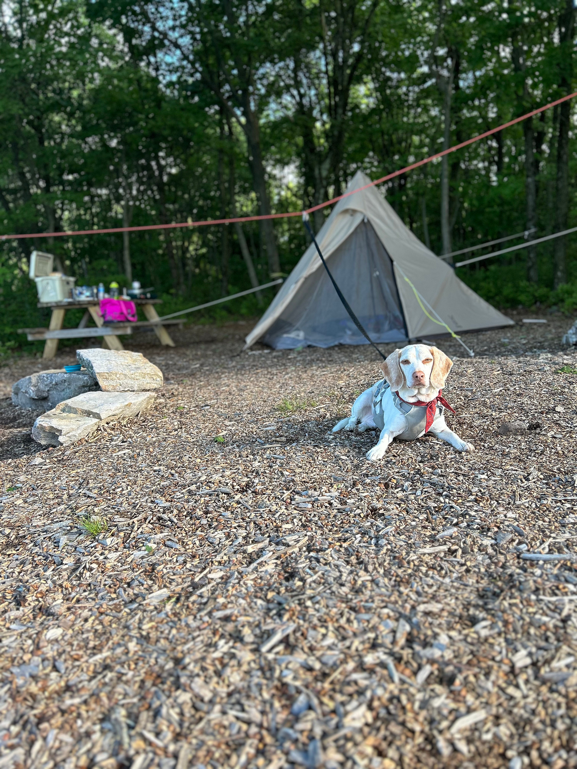 100 Mile View Camping, Jim Thorpe