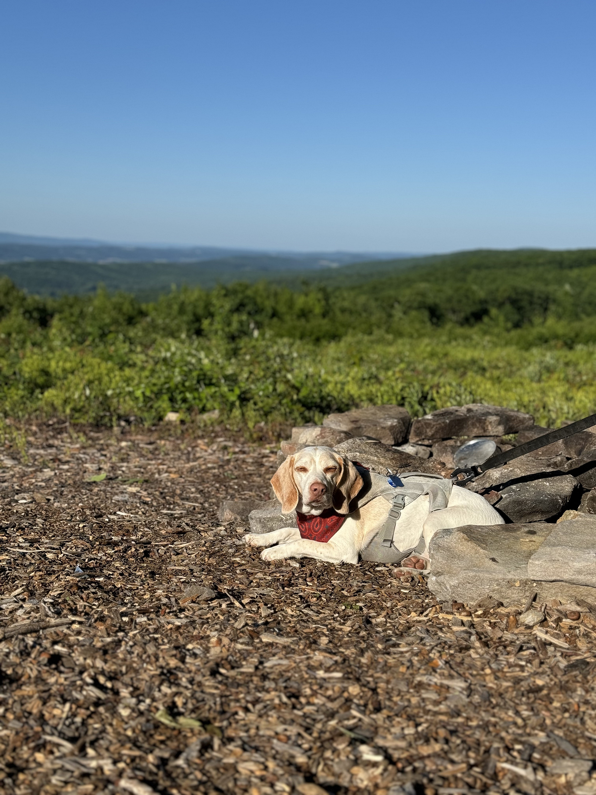 100 Mile View Camping, Jim Thorpe
