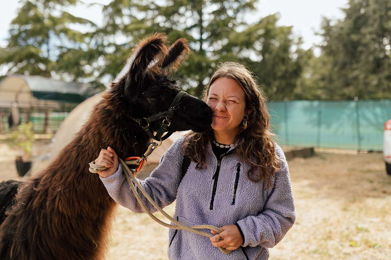 Black Mountain Llama Farm