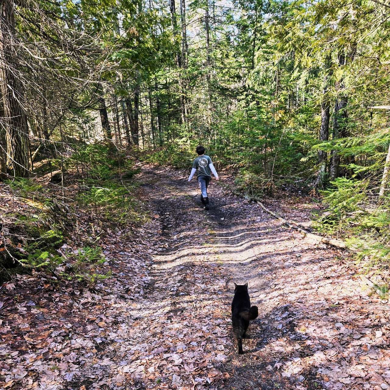Rooster Ridge