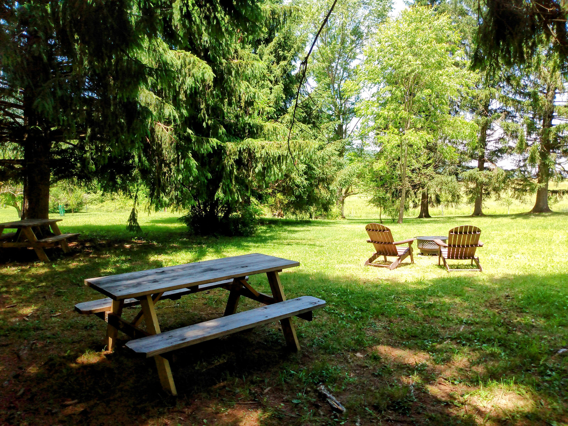WonderWoods at Rocky Gap