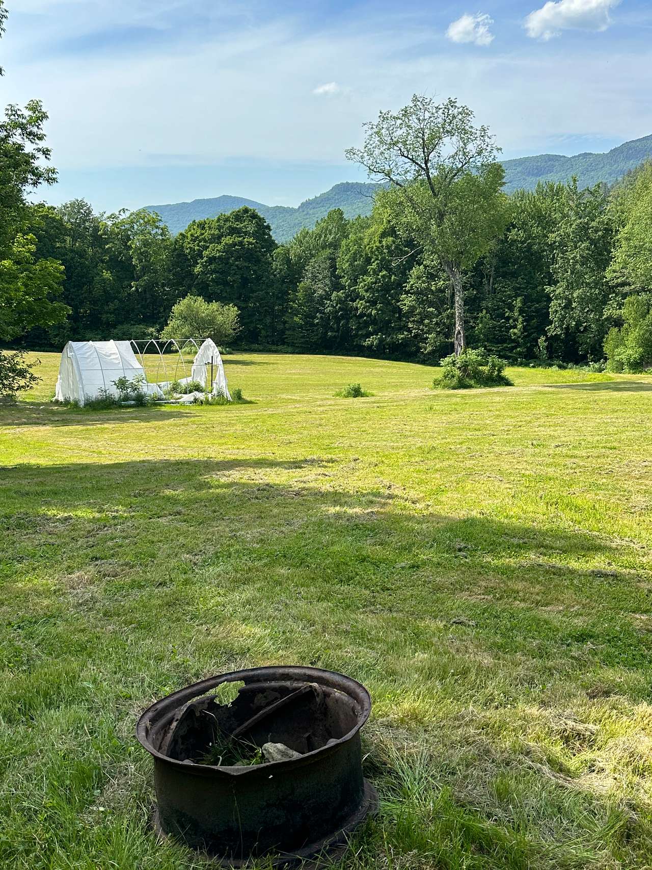 Stargaze Over Camels Hump