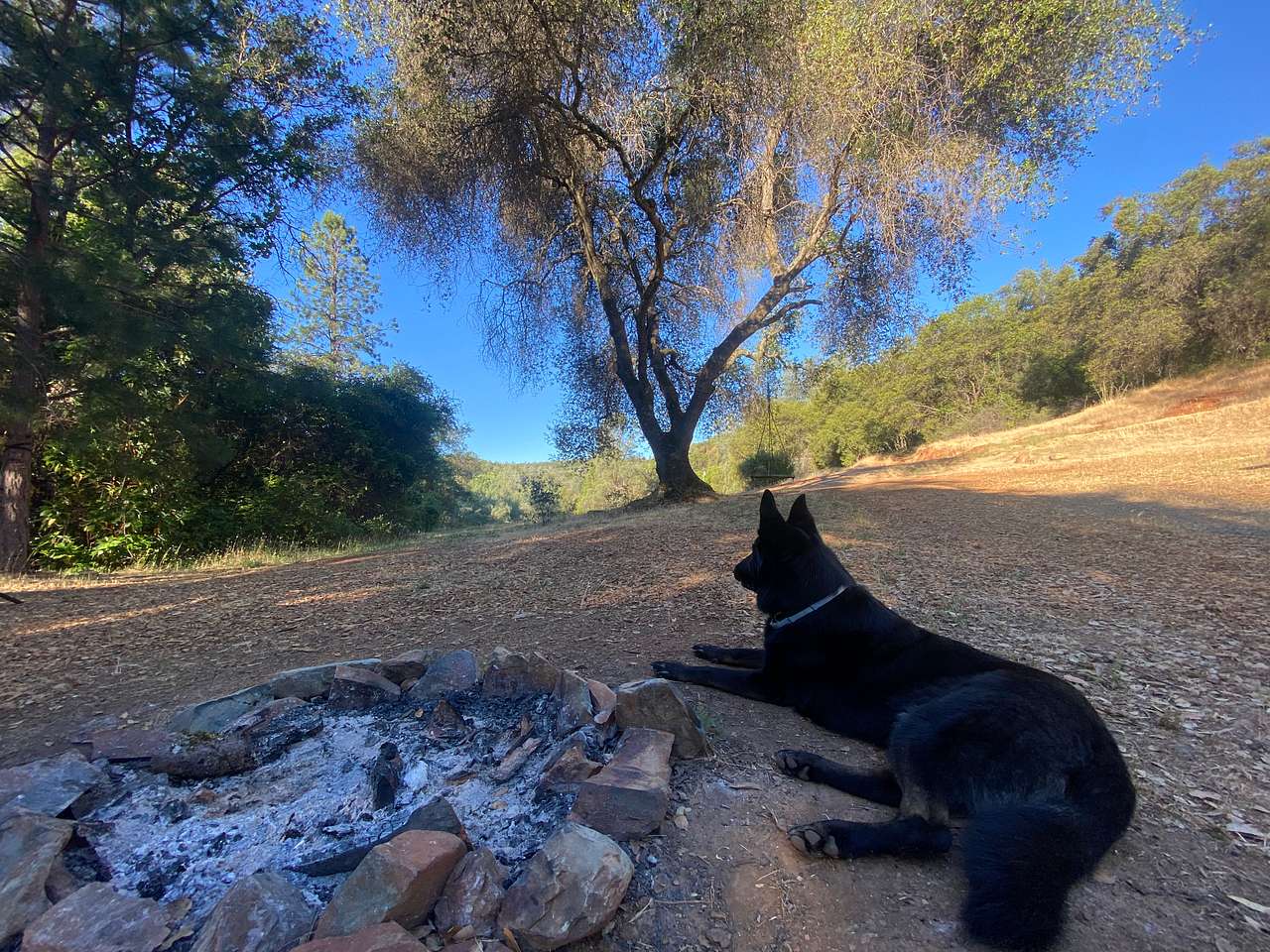 Perfect Getaway with Private Creeks