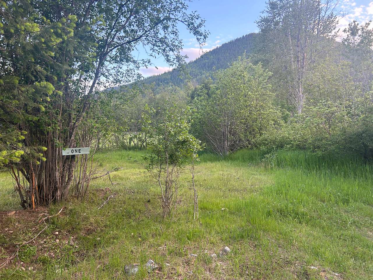 Mountain Creekside Nature Escape