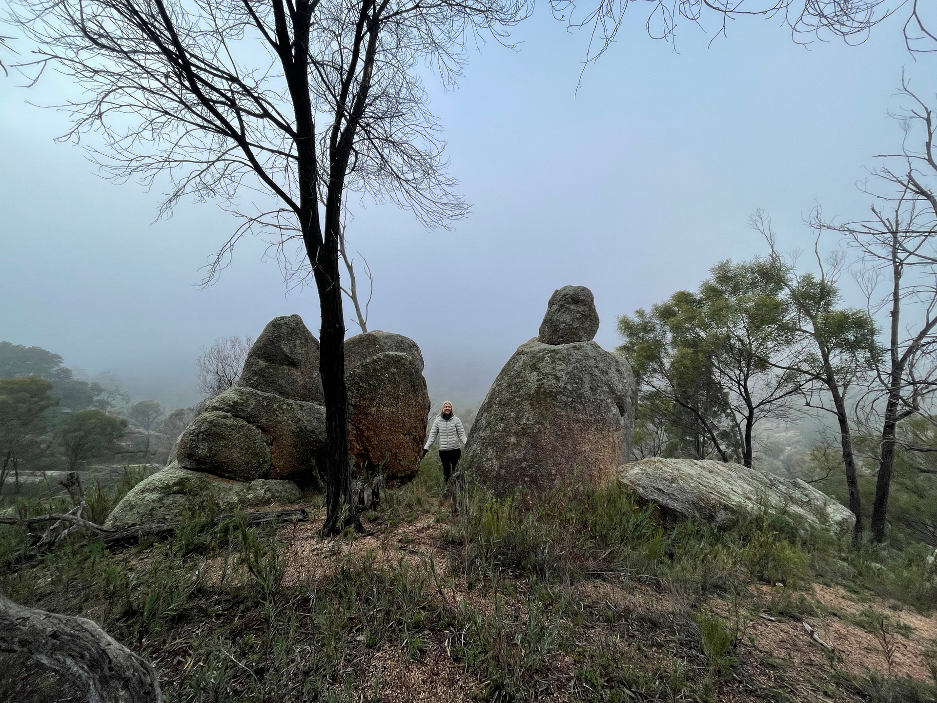 the Ancients up on the ridgeline
