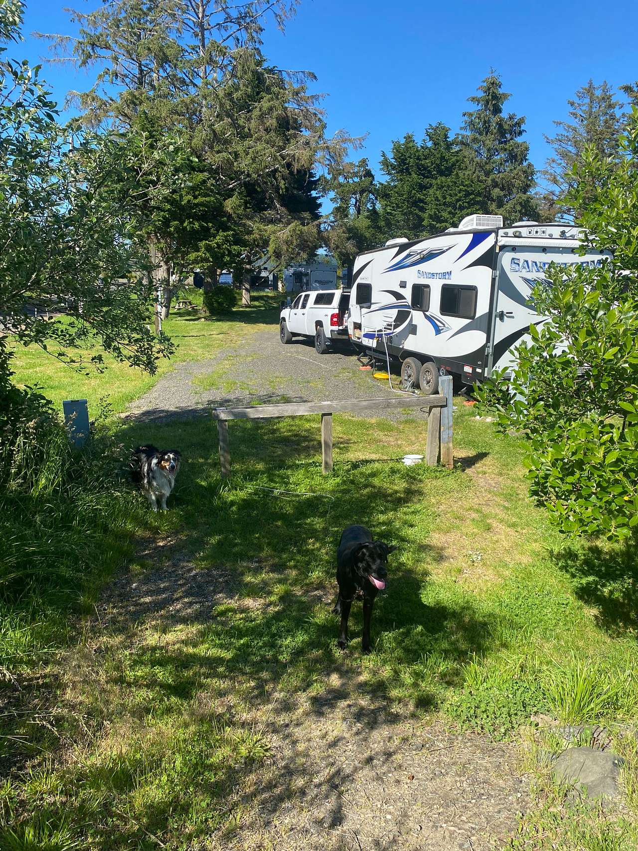 Bayshore RV Park & Guest Suites