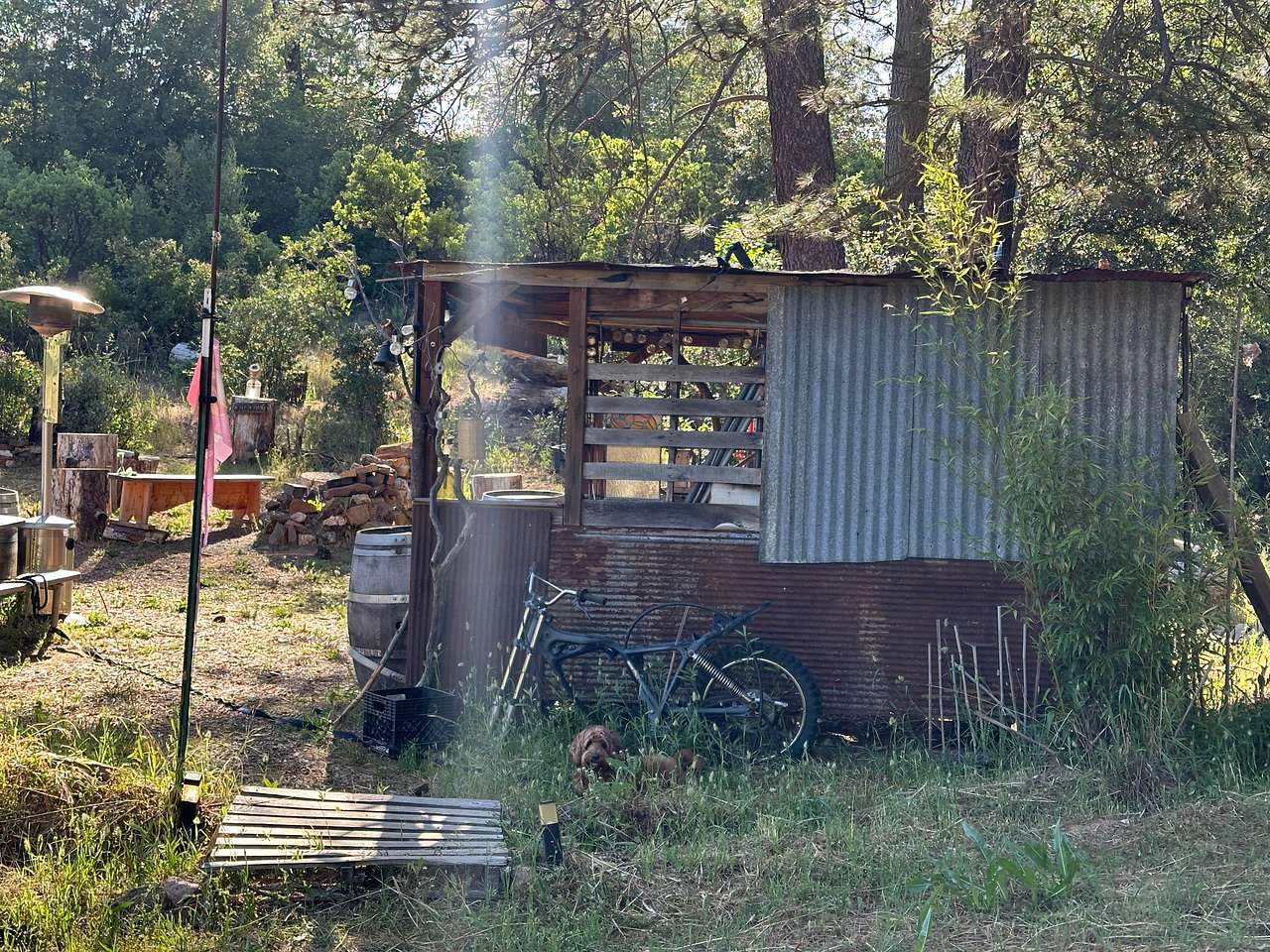 Mighty Farm & Camp 🐕💐🏕️🌅