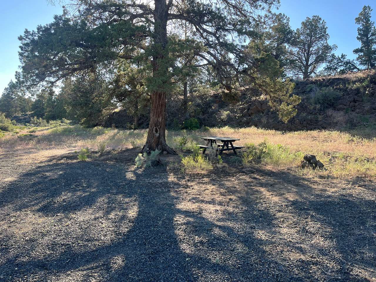Picknik Place
