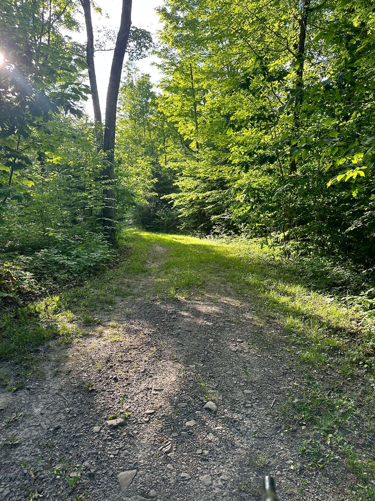 There are numerous cleared spaces directly off the walking path for you to choose from. Please be mindful of our strict carry-in, carry-out policy.
