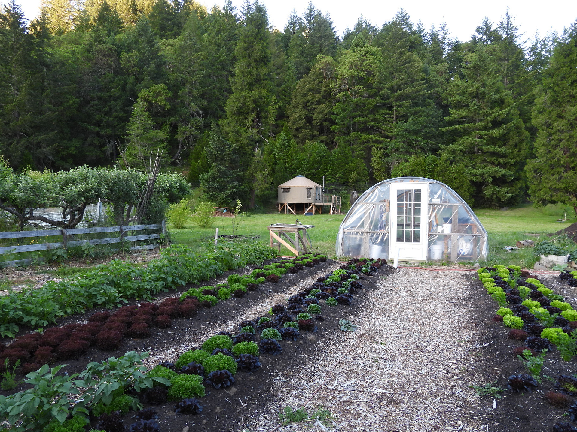 Suncatcher homestead