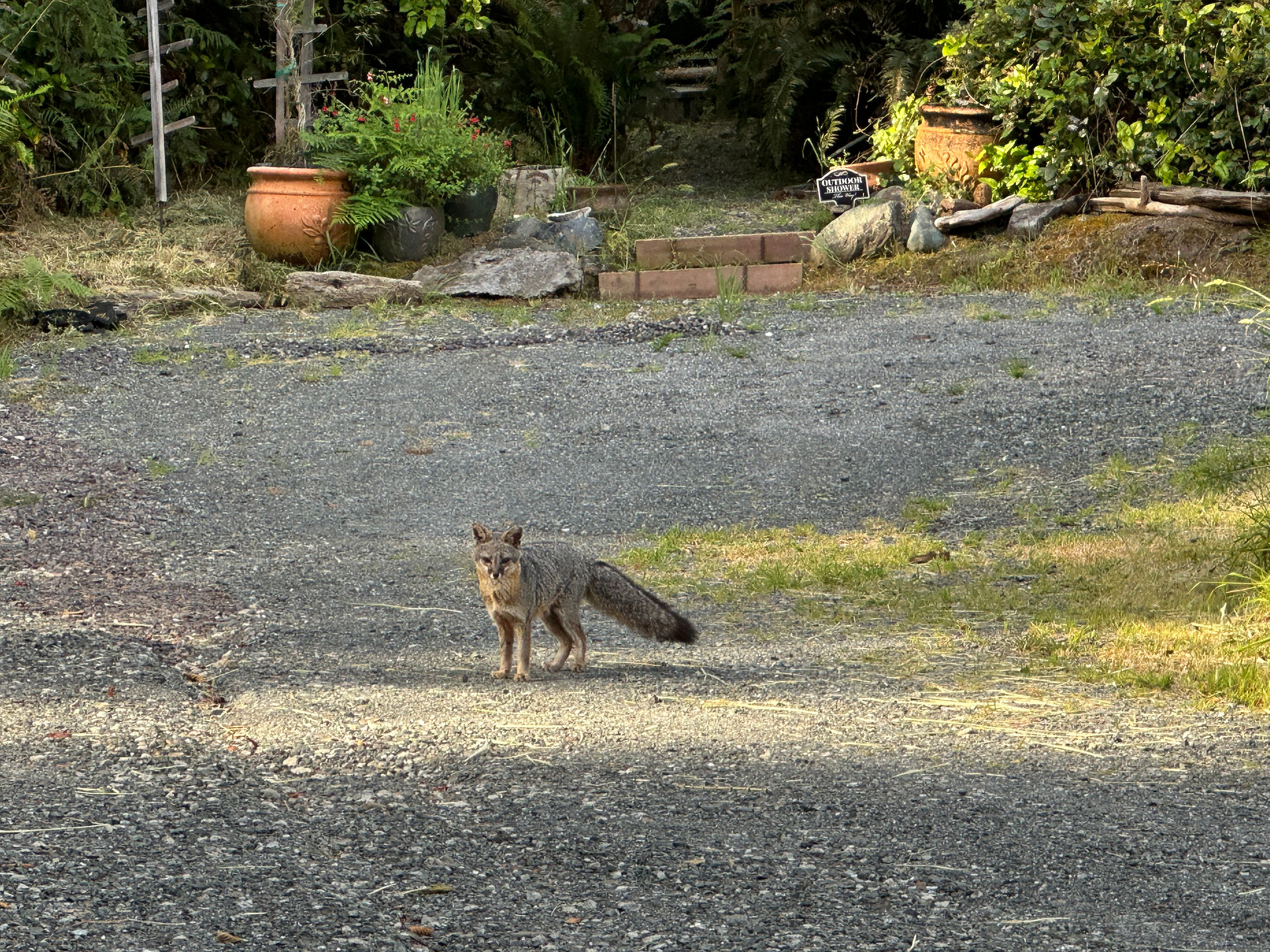 Mendocino Coast RV / Campers