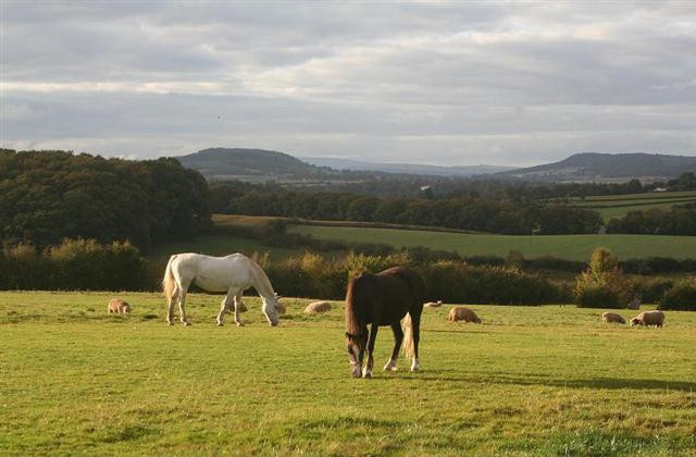 Peaceful countryside