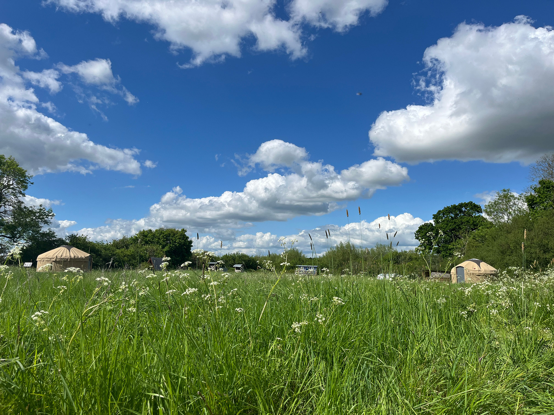 Nordic Glamping at Botswicky