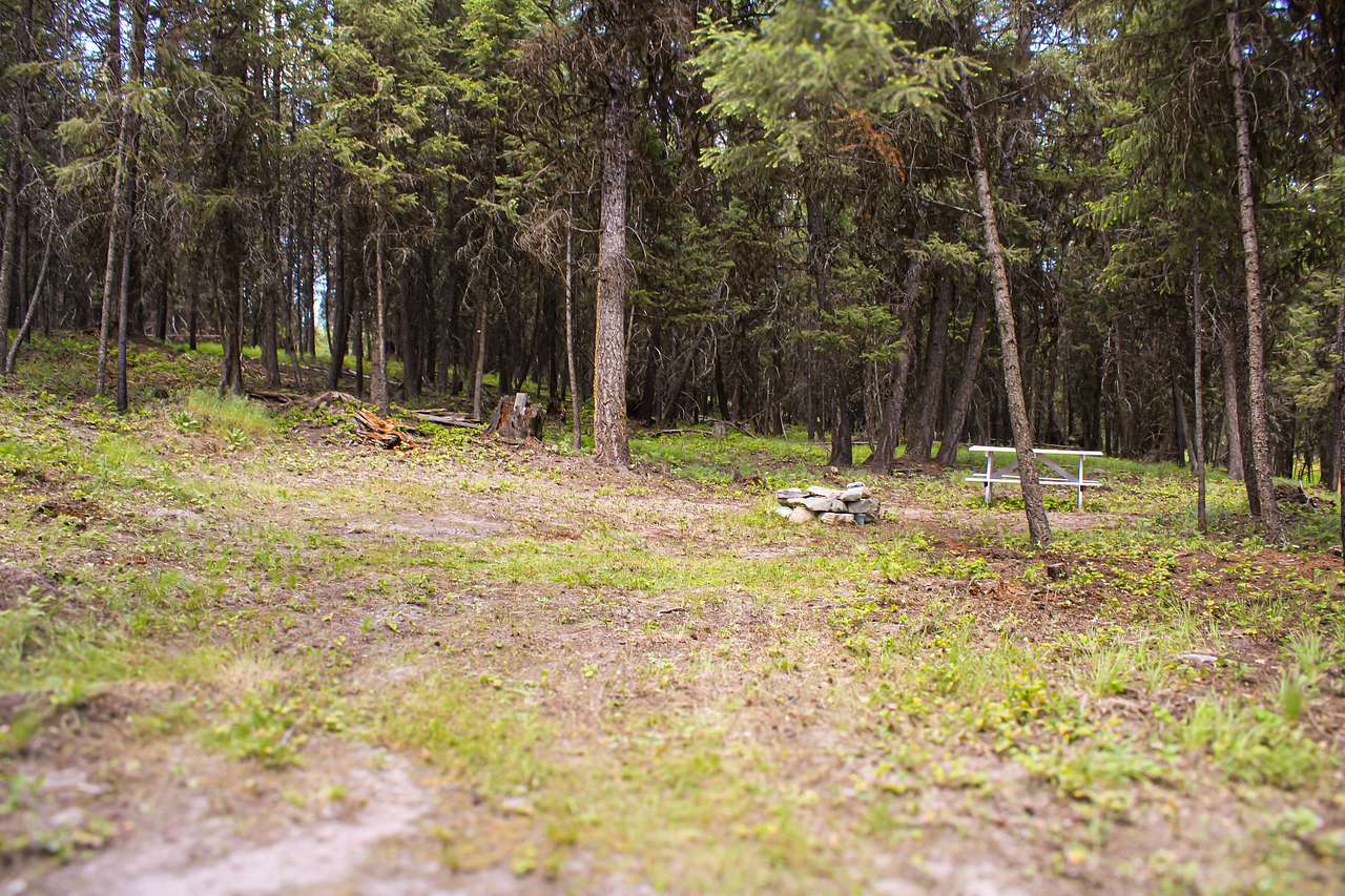PIcnic / Firepit area, with plenty of room for chairs and any shade structures