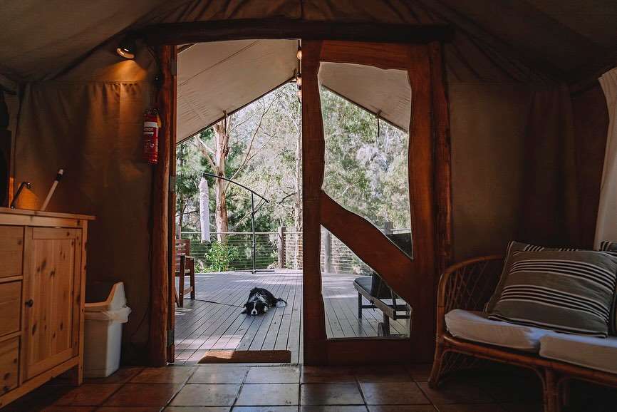 Riverside Camping, Glamping, Cabins