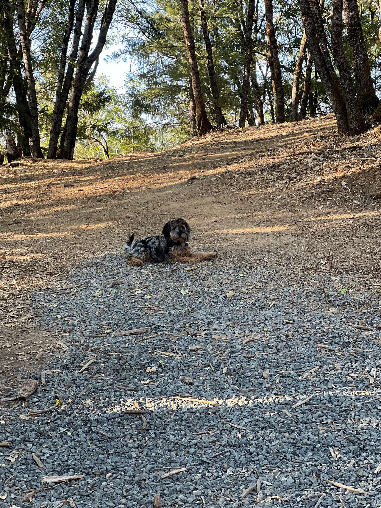 Rollins Lake Retreats & Adventures