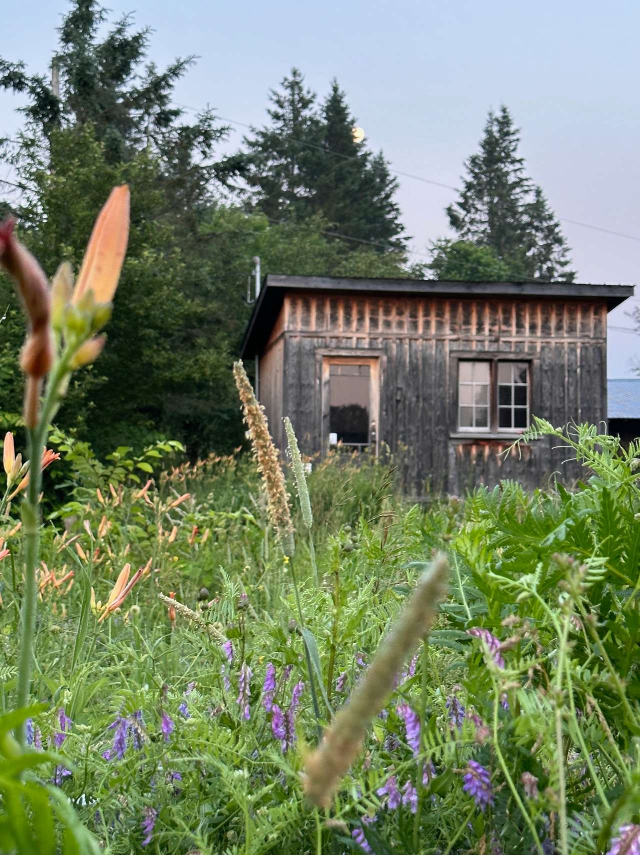 Ferme Lanthorn