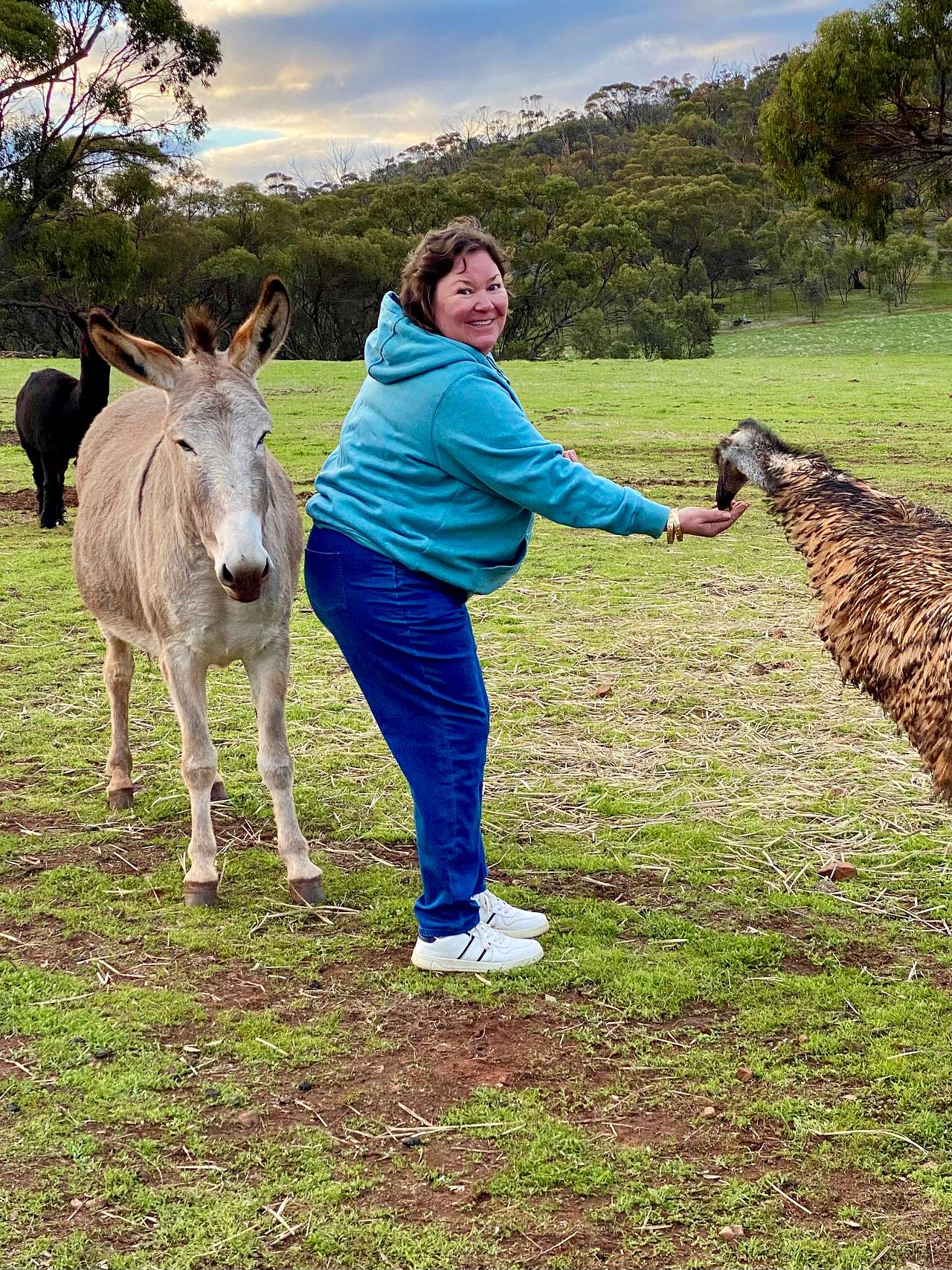 Sandalwood Downs  Farm Stay Toodyay