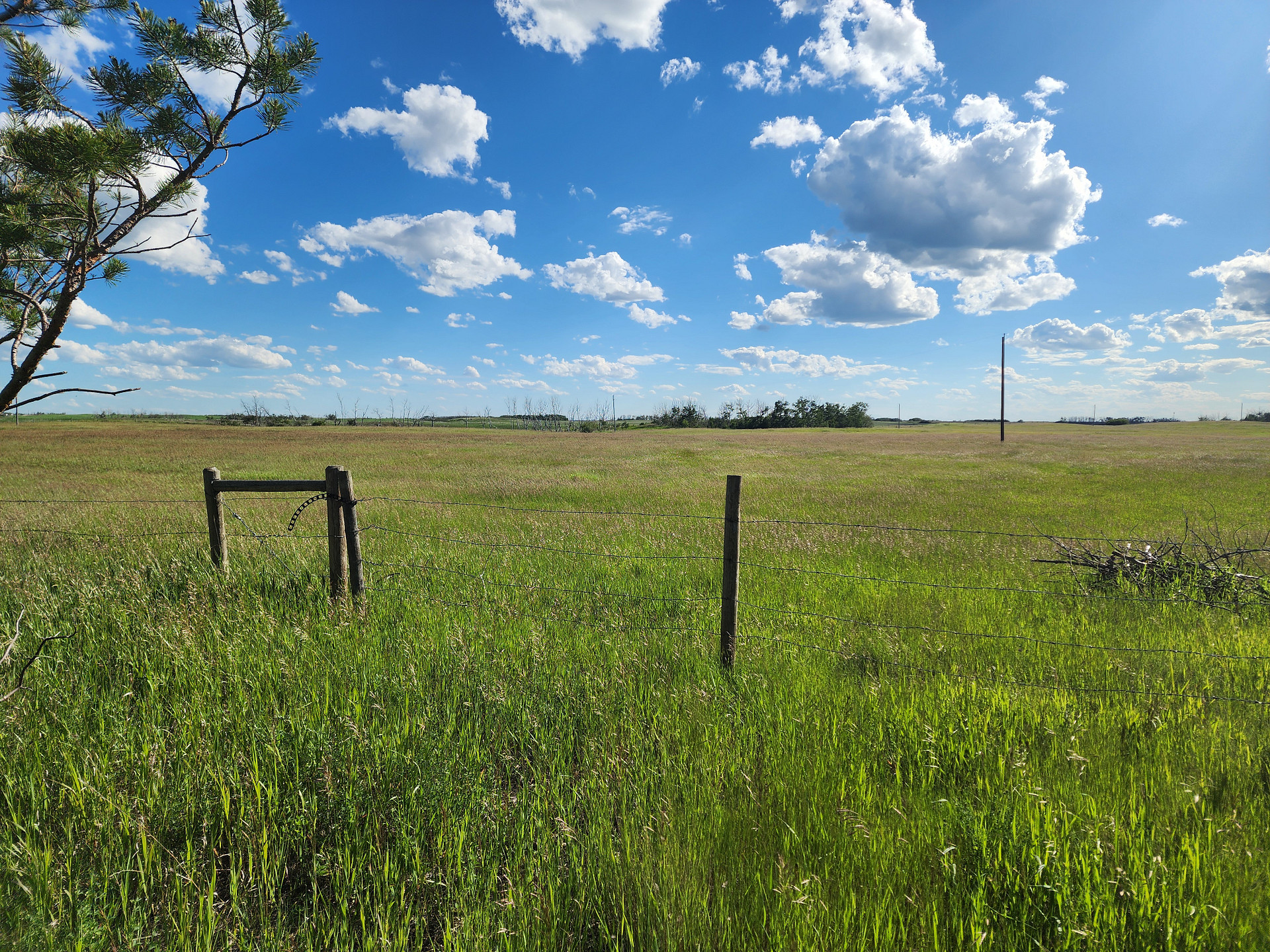 Black Horse Farm