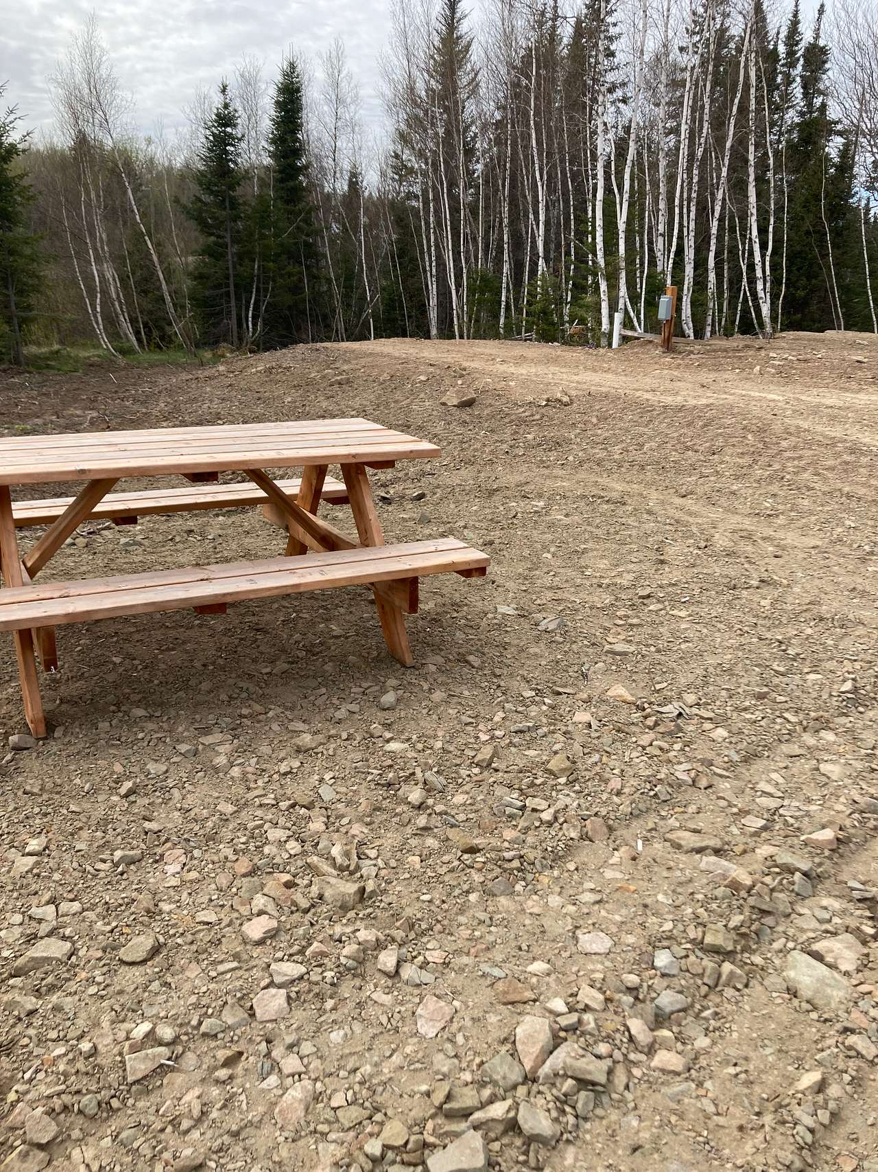 Cardinal Campground- Kouchibouguac