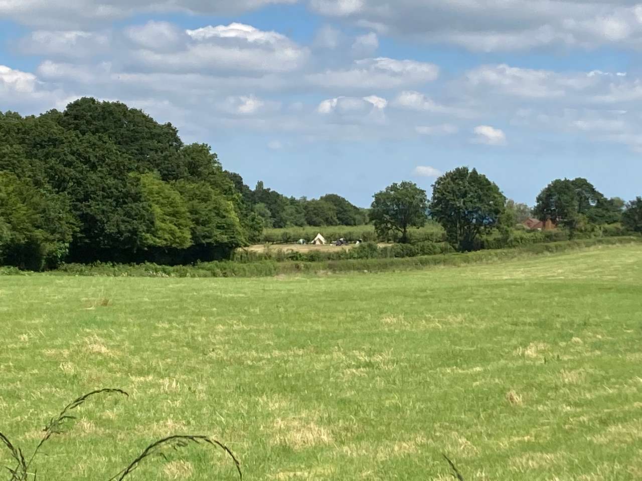 Frittenden Orchard