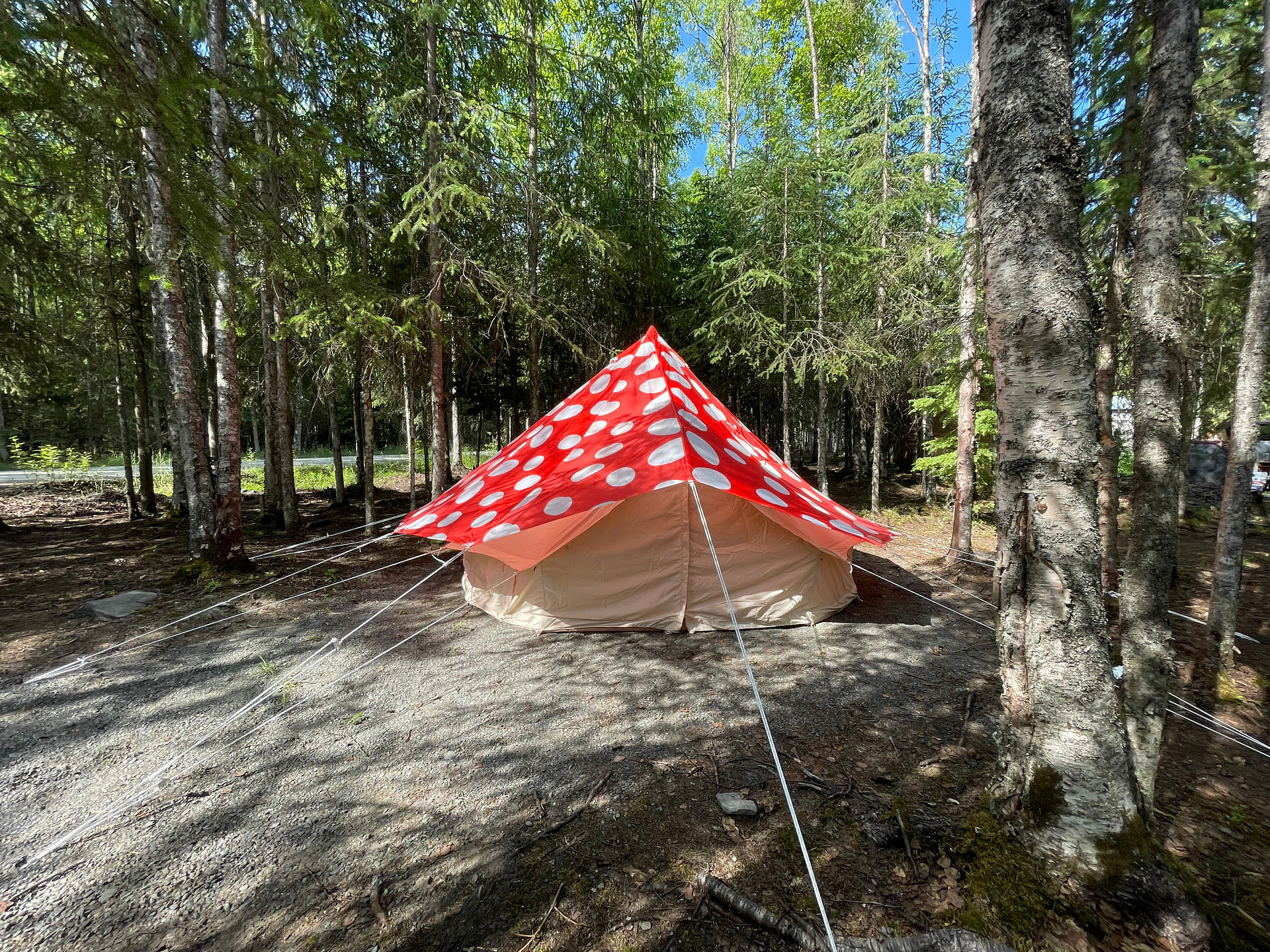 Gnome dome bell ten