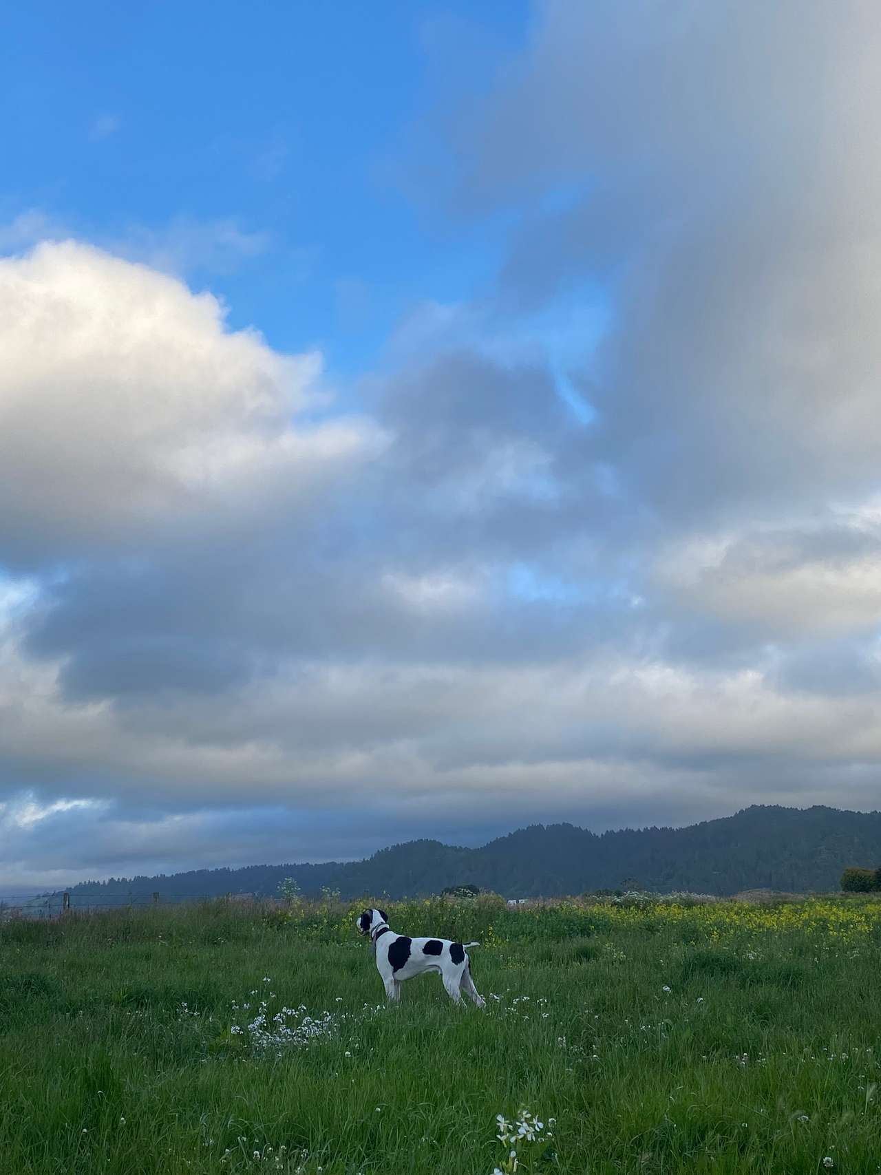 Farm Retreat at Hidden Meadow