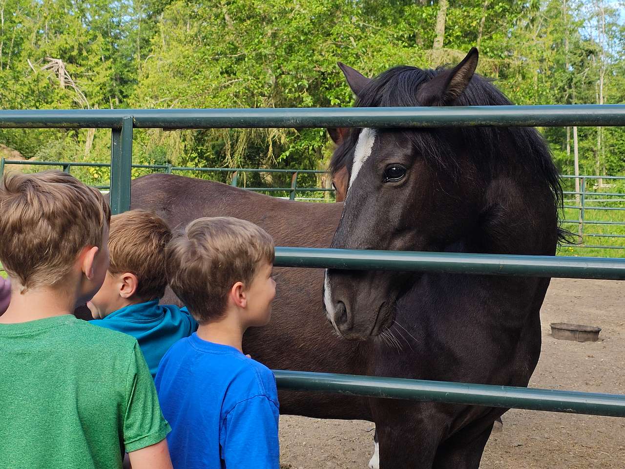 Cowboy Camp