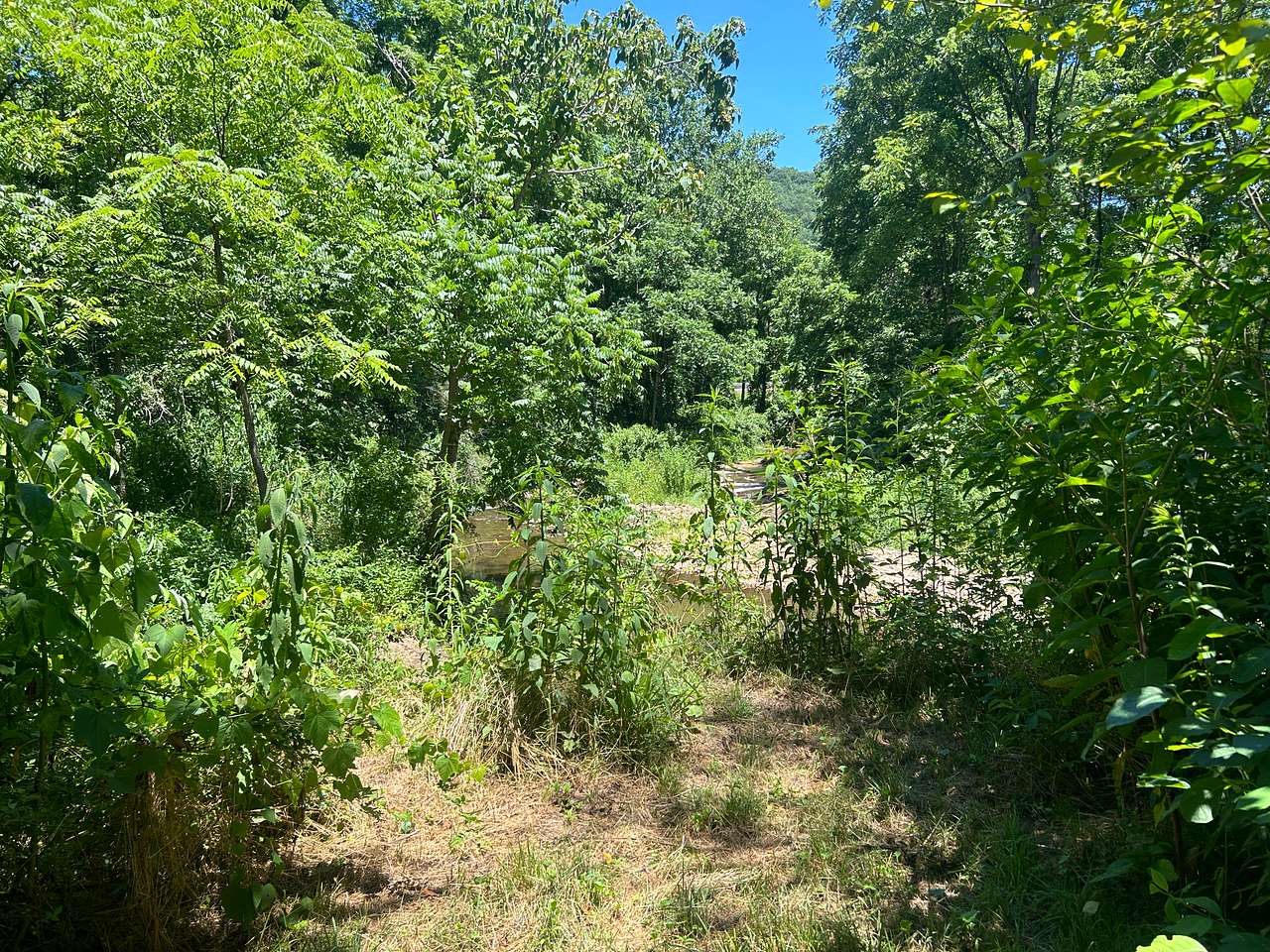 Ruby Ranch